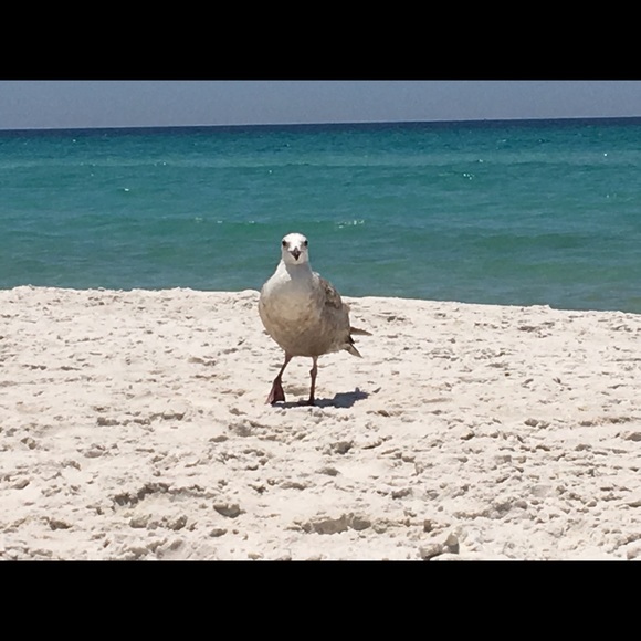 Meet your Posher, Rosco - Picture 2 of 2